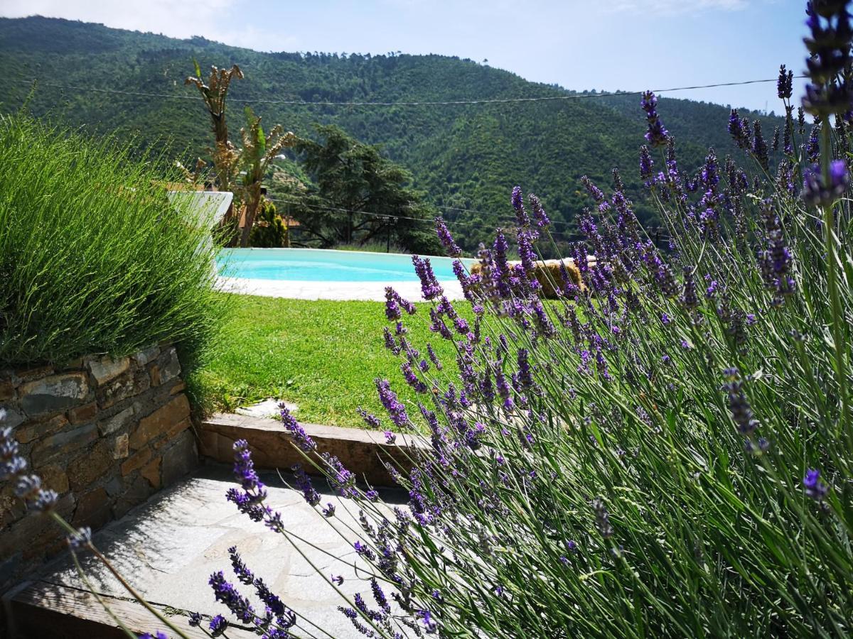 Agriturismo Ca Due Nonu Vallebona Exterior photo